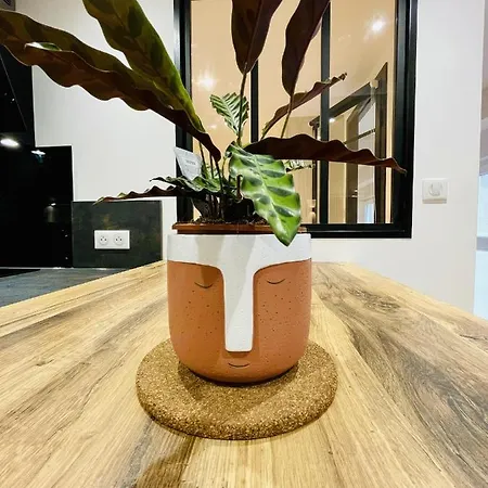 아파트 Louis Quartier Casino *