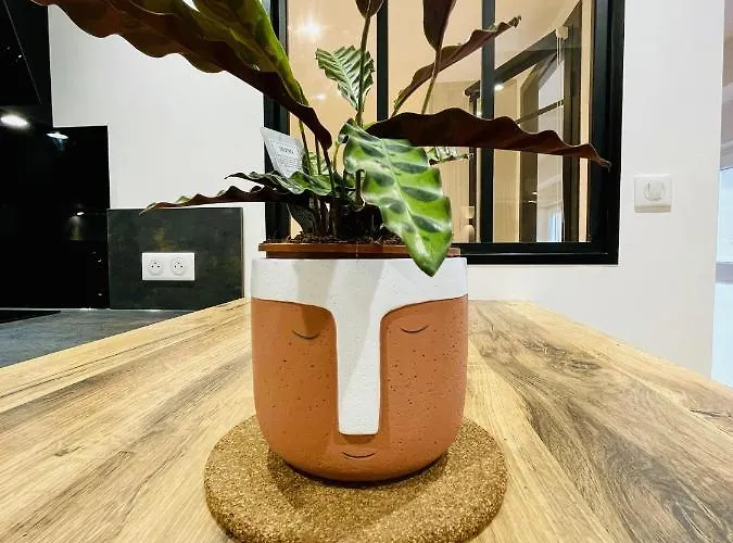 公寓 Louis Quartier Casino *